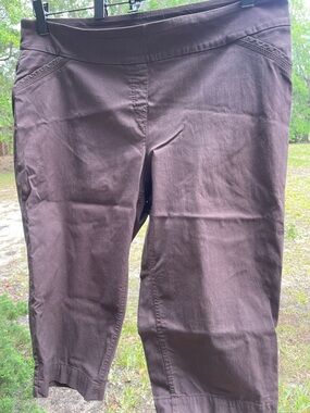 Women's Dark Brown Capri Pants